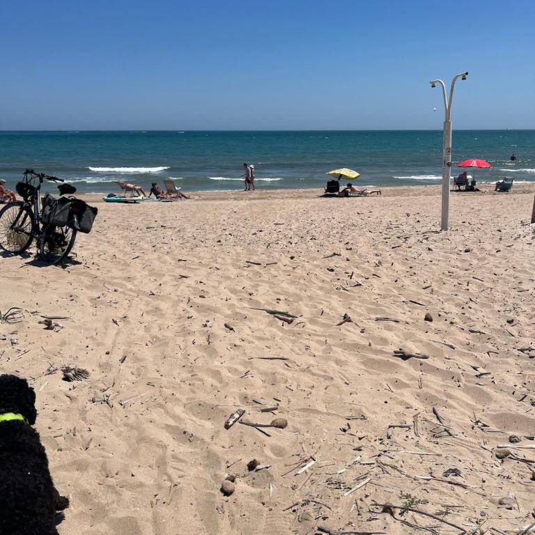 Apartamento en Marenys Gandia - Apartamento de 3 dormitorios - 19