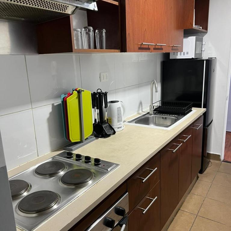 Heritage Premium Suite a pasos de La Moneda - Apartamento de 3 dormitorios con balcón - 17