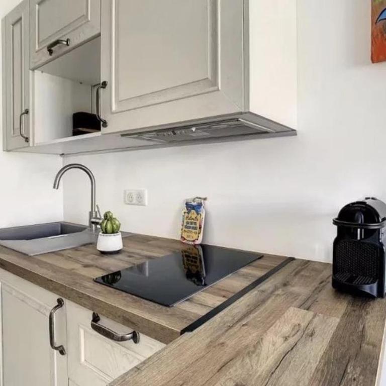 Cannes studio cosy - Jardins de la Croisette - 5C5 - Appartement 2 Chambres - 5