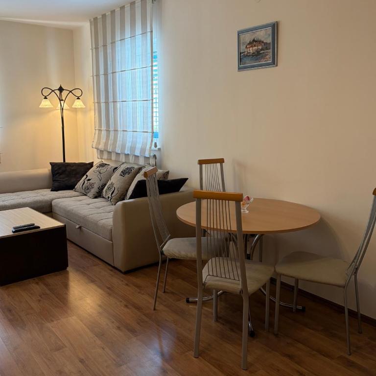 Tamara's Sea View Apartment in Bečići - Apartman sa 1 Spavaćom Sobom - 4