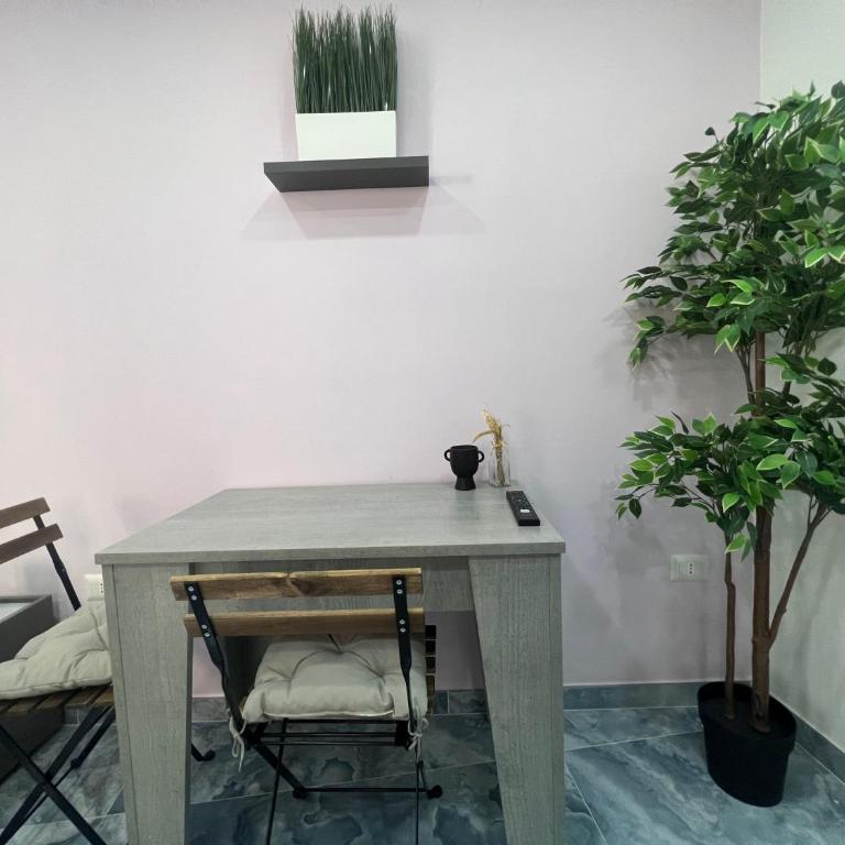 Borgo 1313 Napoli - Studio (Con Cucina e Con Finestre - with kitchen and with window ) - 7