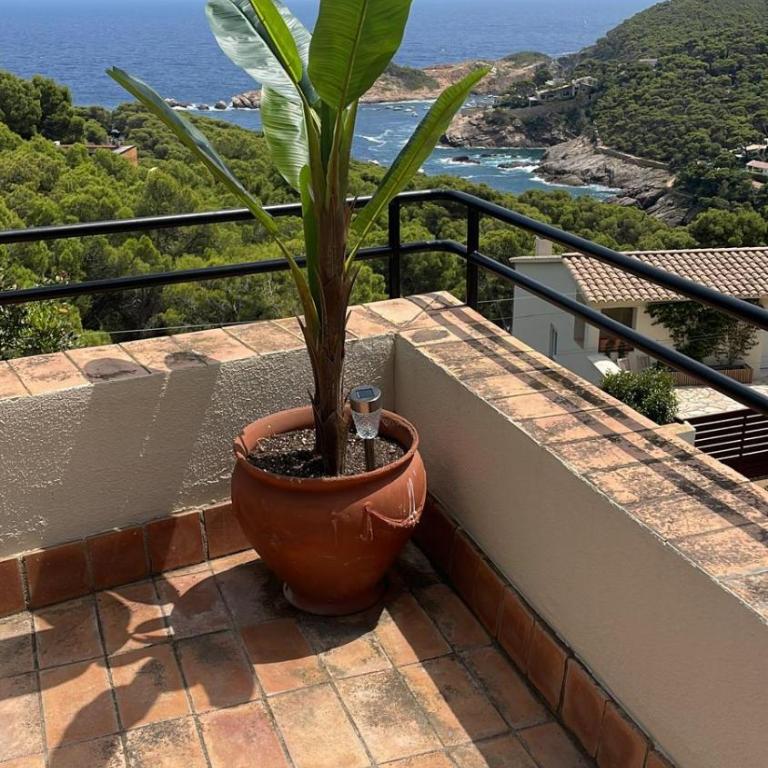 Casa en Begur - Casa de 3 dormitorios - 1