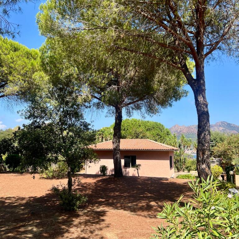 Dimora Il Funghetto - Capo Perla Apartments - Appartement 2 Chambres - Vue sur Mer - 31