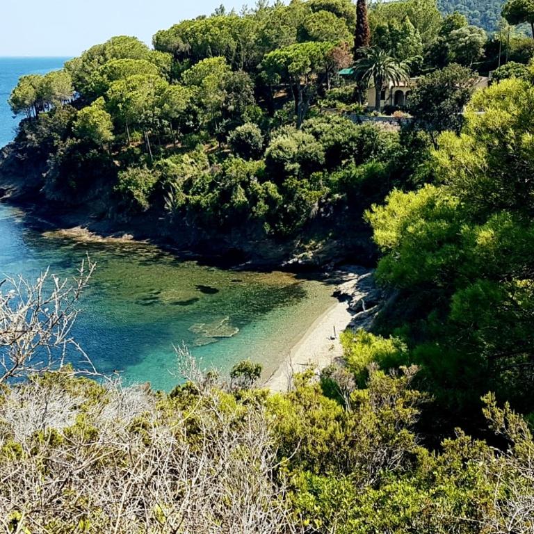Dimora Il Funghetto - Capo Perla Apartments - Appartement 2 Chambres - Vue sur Mer - 34