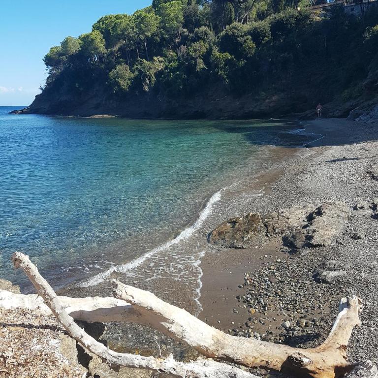 Dimora Il Funghetto - Capo Perla Apartments - Appartement 2 Chambres - Vue sur Mer - 36
