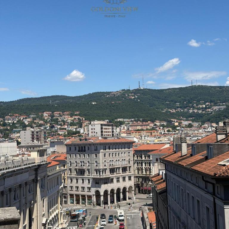 Goldoni View - Trieste Reception - Appartamento Monolocale - 32