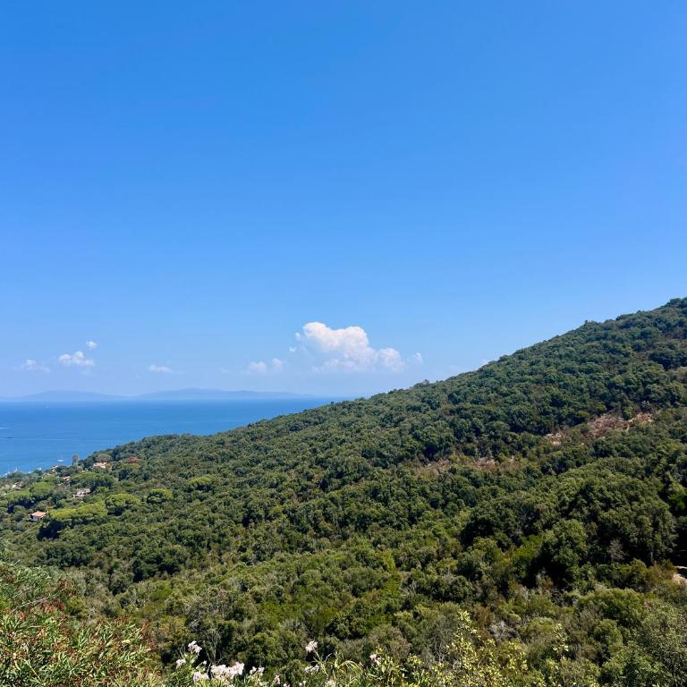 Casa Ilva - Colle Paradiso Experience - Appartement 1 Chambre avec Vue sur la Mer et Terrasse - 15