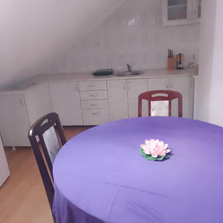 Studio Rtanj - One-Bedroom Apartment - 3