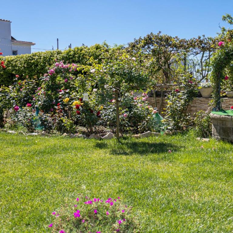 AMORE RENTALS - Villa Caruso - Villa con Piscina Privata - 18