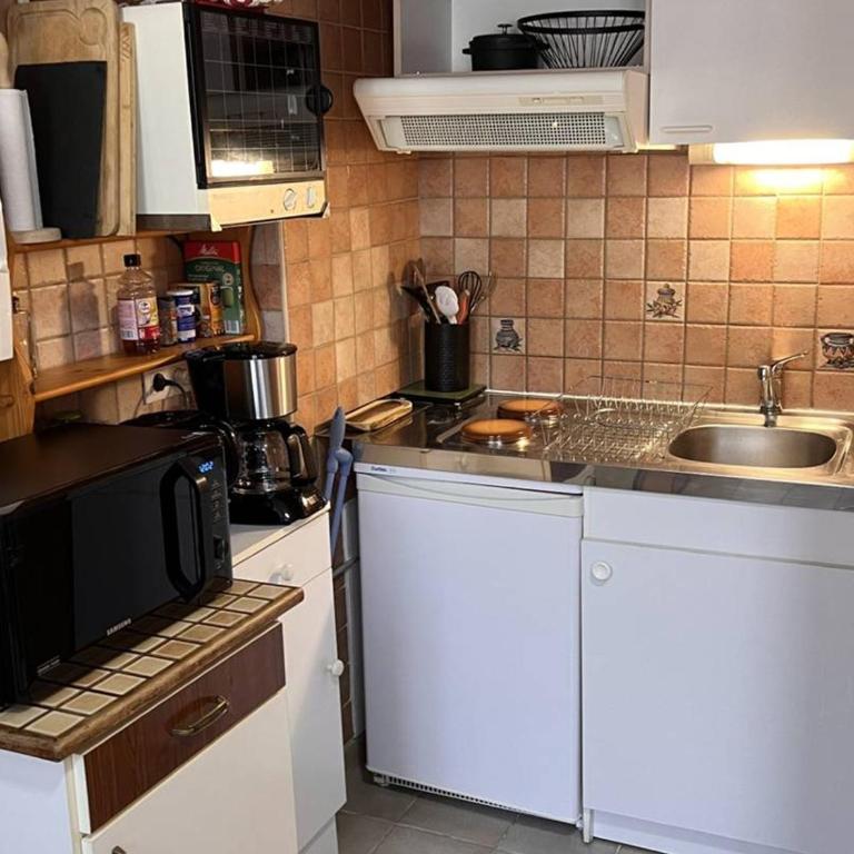 Studio vue montagne - 4 pers. - FR-1-234-362 - Studio - 3