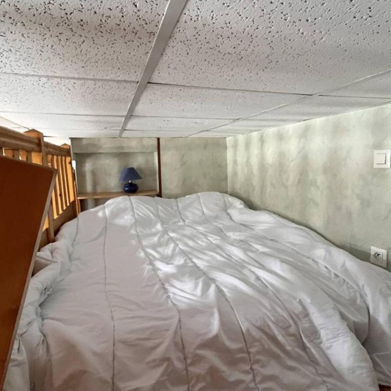 Studio vue montagne - 4 pers. - FR-1-234-362 - Studio - 4