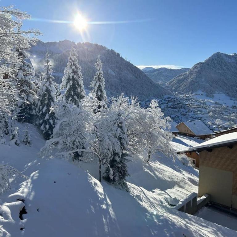 Appartement confortable - 5 pers. - FR-1-676-264 - Appartement - 18