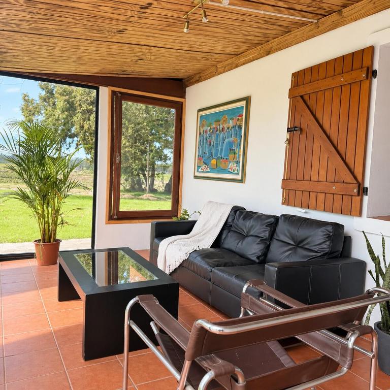 Chacra de campo - Casa de 3 dormitorios - 17