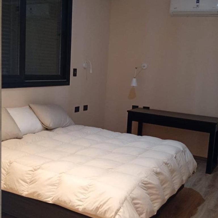 Plaza alameda - Two-Bedroom Apartment - 14