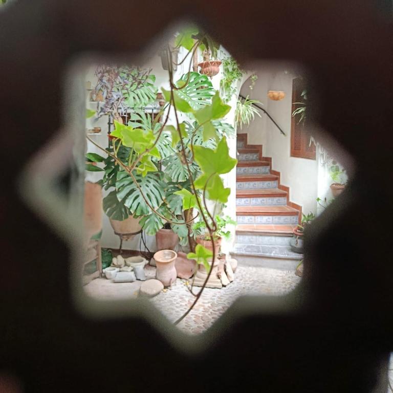 Apartamento El Pacífico - Apartamento de 2 dormitorios - 26