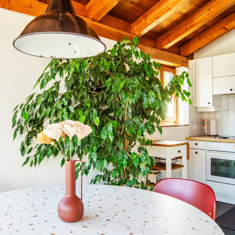 The Green Hut - Apartment mit 2 Schlafzimmern und Terrasse - 22