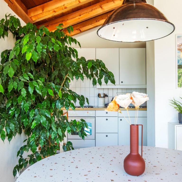 The Green Hut - Apartment mit 2 Schlafzimmern und Terrasse - 21