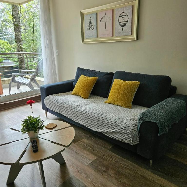 Apartamento Camino Al Volcan - Apartamento de 2 dormitorios - 33