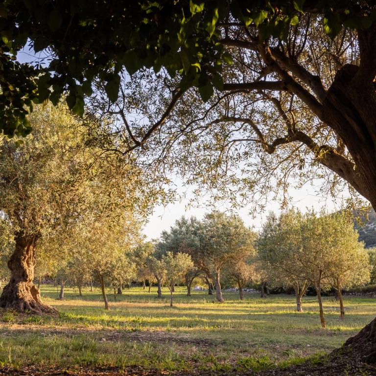 Casale Laghia with pool, Modica - Casa con 5 Camere da Letto - 36