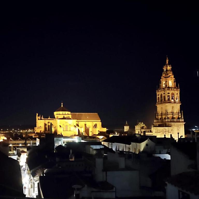 Mirador del poeta Vistas en el corazón de Córdoba - Two-Bedroom Apartment - 4