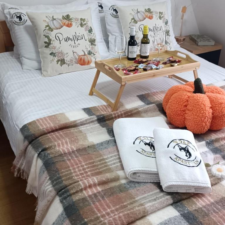 WOLF apartman - Apartman sa 1 Spavaćom Sobom - 1