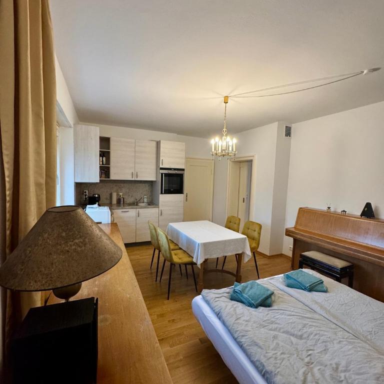 Schöne Unterkunft mit Garten, gute Lage, Tram Bus - One-Bedroom Apartment - 3
