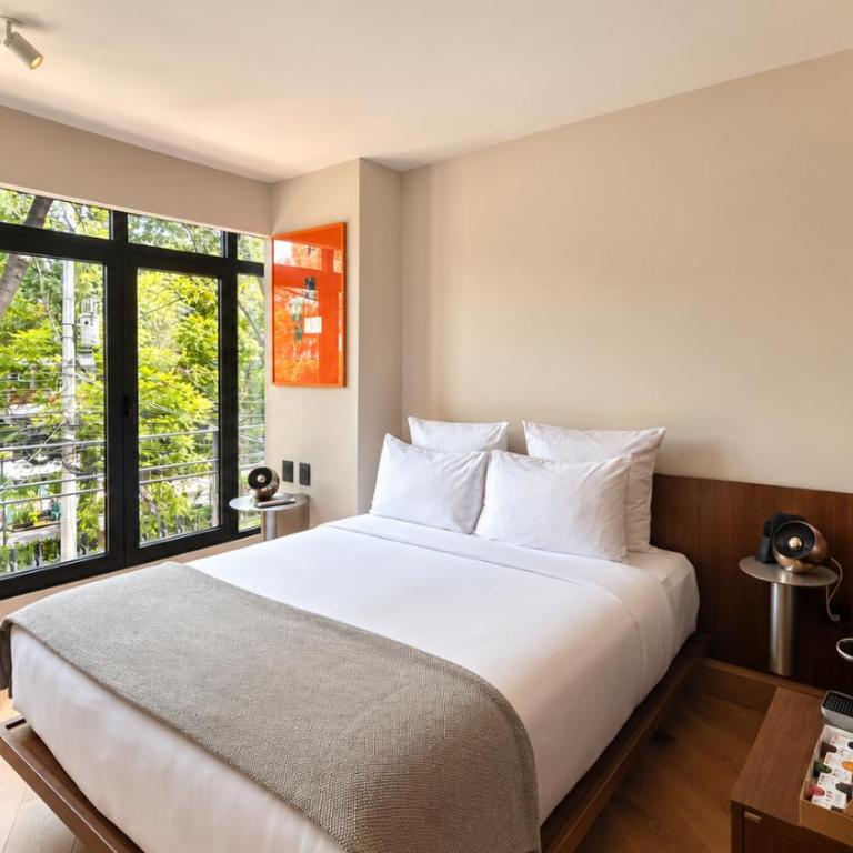 EMA Condesa - Chambre Lit Queen-Size - 4
