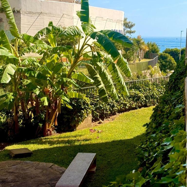 Deluxe Studio Benalbeach - Estudio Deluxe - 19