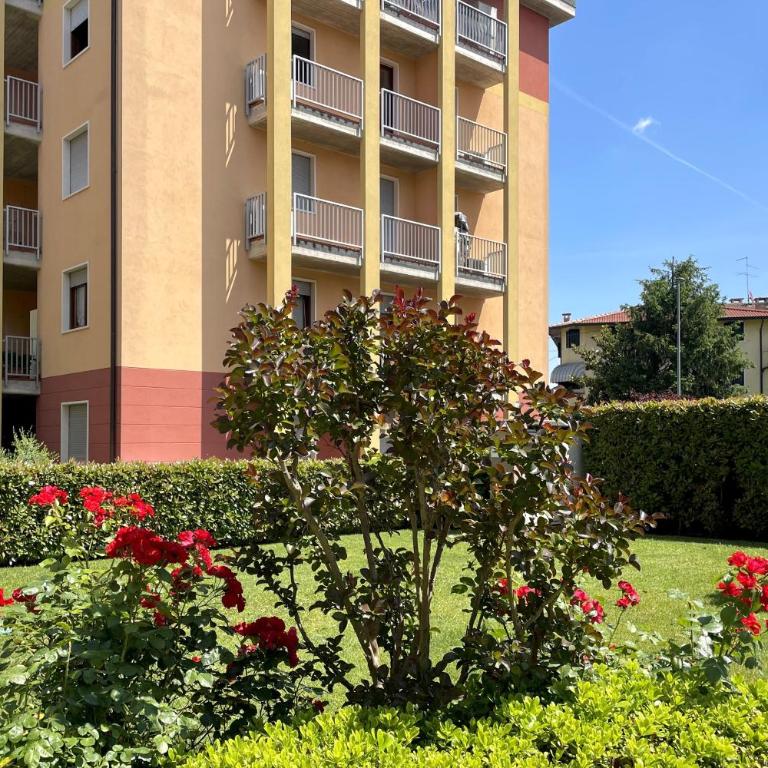 Top Floor & Garage - Apartment - 22