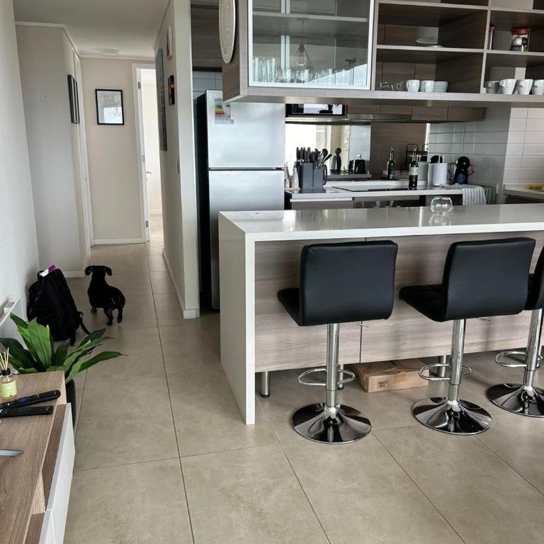 Moderno departamento concon - Apartamento de 2 dormitorios - 12