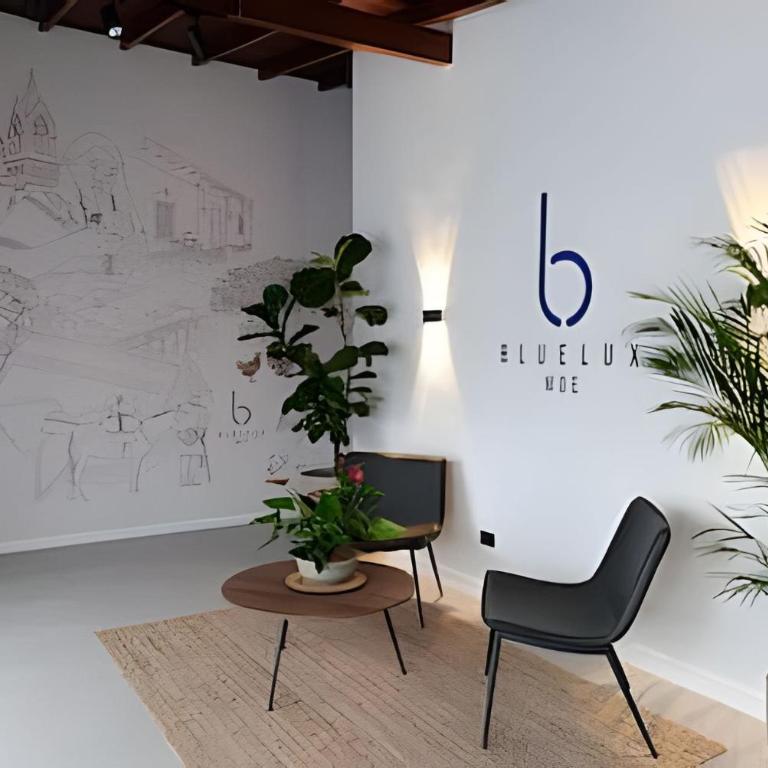 Bluelux Mde B&B - Habitación Deluxe con cama extragrande - 50