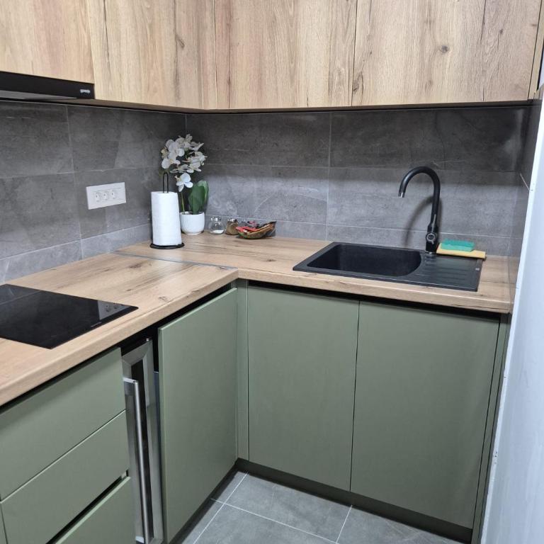 Studio Crnjanski - Apartman sa 1 Spavaćom Sobom - 18