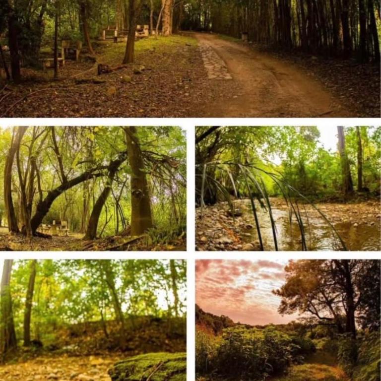 Casa Bambú! - Villa Estándar - 12