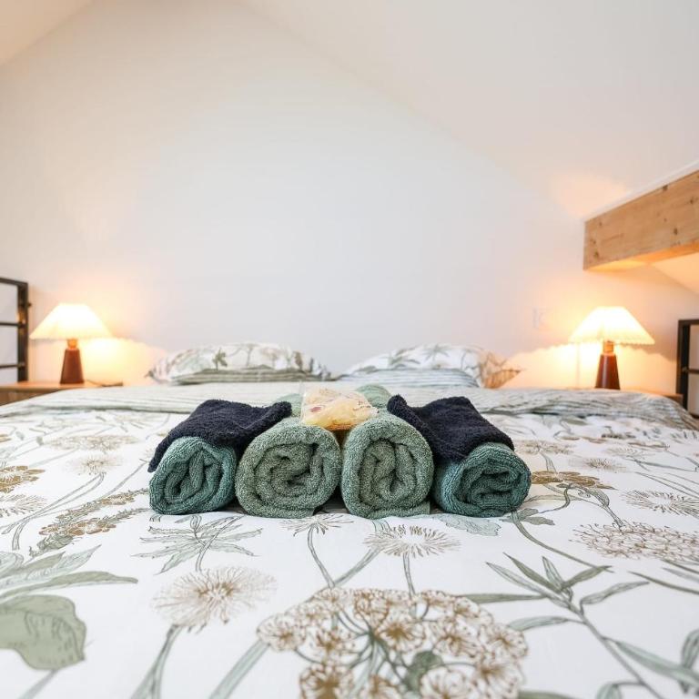 L'Éveil du Lac Stadtzentrum Am See Netflix WLAN Kingsize-Bett - Apartment - 7