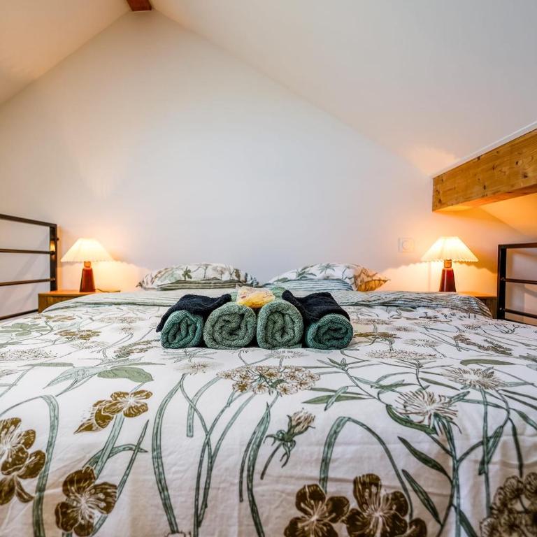 L'Éveil du Lac Stadtzentrum Am See Netflix WLAN Kingsize-Bett - Apartment - 6