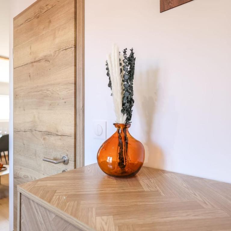 L'Éveil du Lac Stadtzentrum Am See Netflix WLAN Kingsize-Bett - Apartment - 15