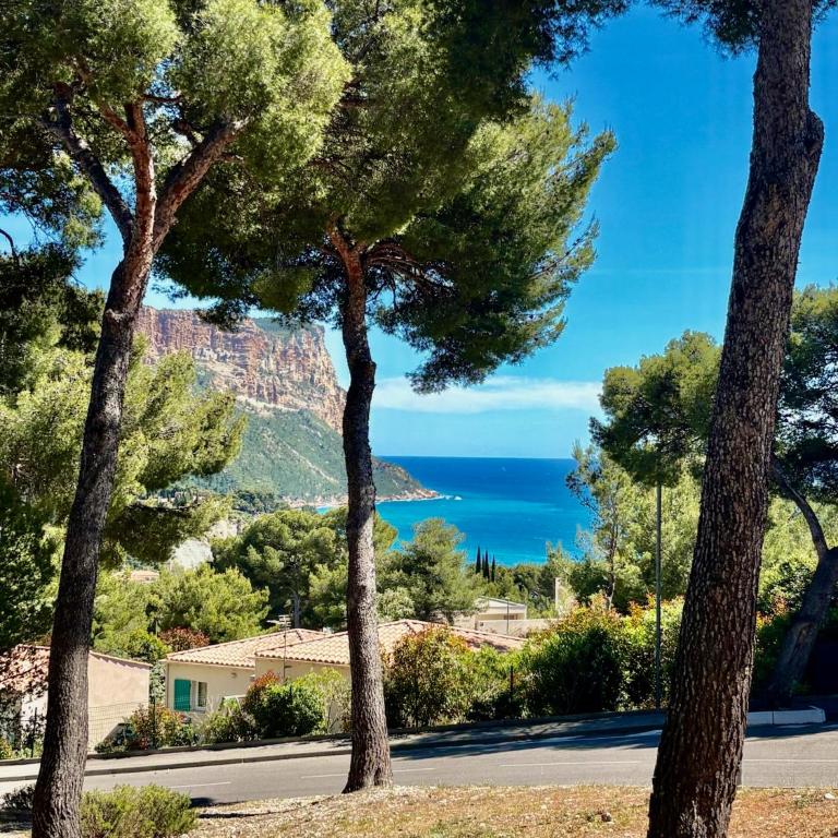 BLEU CASSIS-VINTAGE -3 Ch- Magnifique vue mer- Parking gratuit et Jardin - Appartement - Vue sur Mer - 1