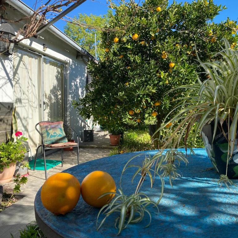 A bright little house in a central location with a wood-burning stove - Casa de 2 dormitorios - 18