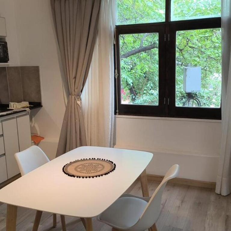 Departamento céntrico en Mendoza - Apartamento de 1 dormitorio - 11
