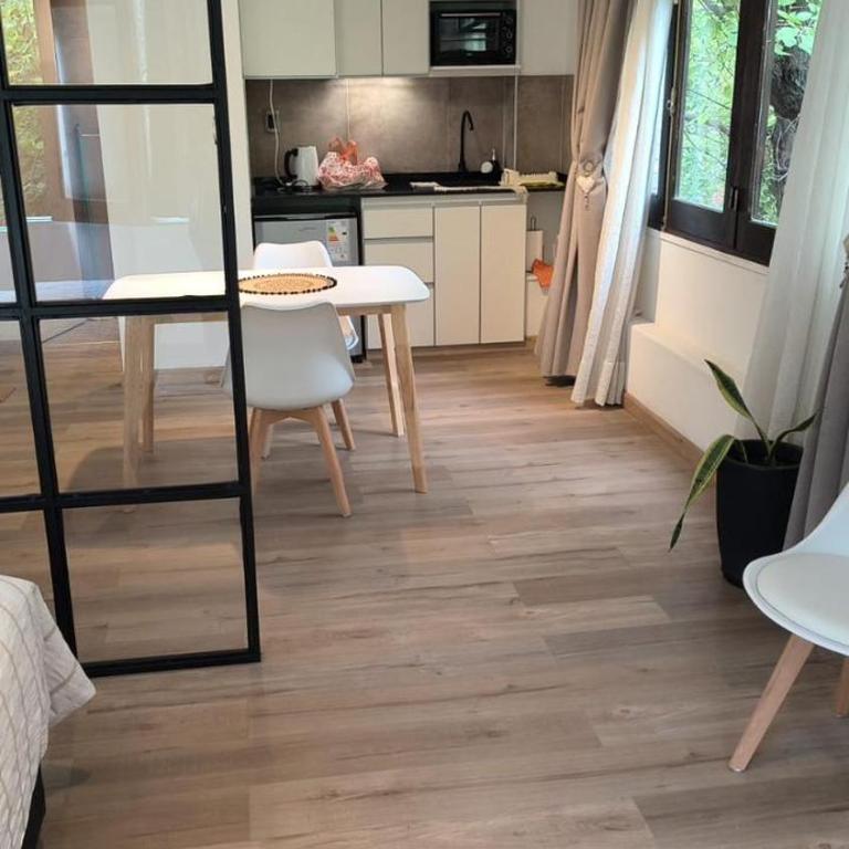 Departamento céntrico en Mendoza - Apartamento de 1 dormitorio - 12
