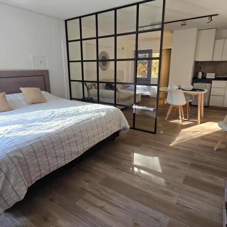 Departamento céntrico en Mendoza - Apartamento de 1 dormitorio - 14