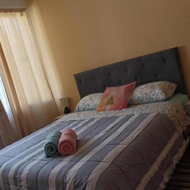 Hostal Quinta del mar - Double Room with Private Bathroom - 4