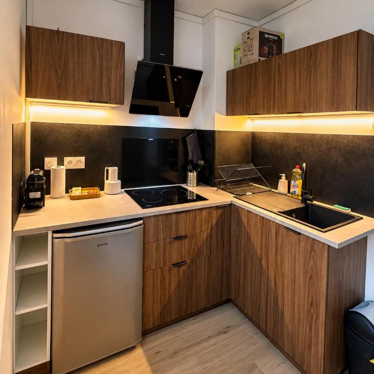 Le duplex des prébendes - Appartement 1 Chambre - 6
