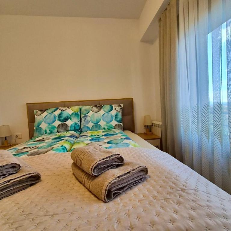 Apartman Zlatiborska Oaza - Apartment mit 1 Schlafzimmer - 9