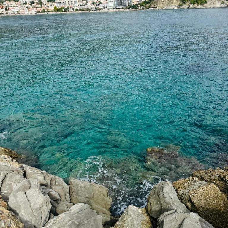 Montenegrian charm - Apartman sa 1 Spavaćom Sobom - 15