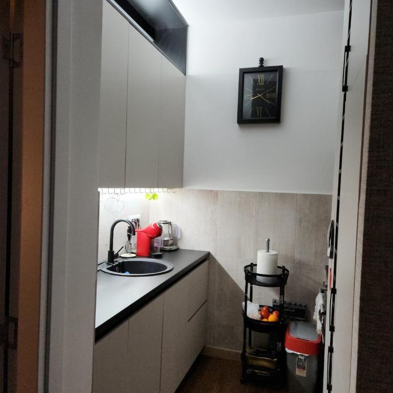 Montenegrian charm - Apartman sa 1 Spavaćom Sobom - 28
