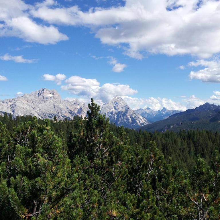 Cortina, what a magnificent view! - Apartamento de 1 dormitorio - 36