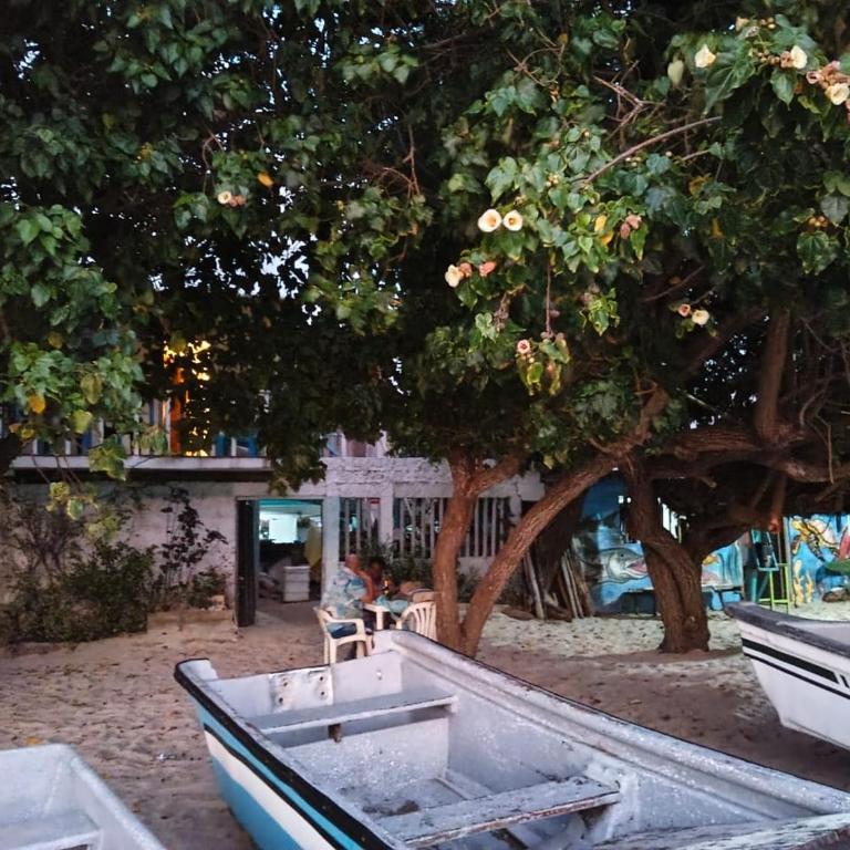 Ana del mar - Apartamento de 1 dormitorio - 22