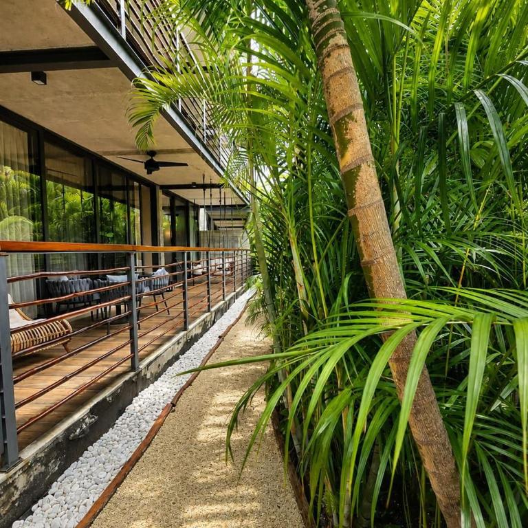 Tulum XS101 Cenote VIP Concierge & Luxury Amenities - Apartamento de 2 dormitorios con terraza - 24