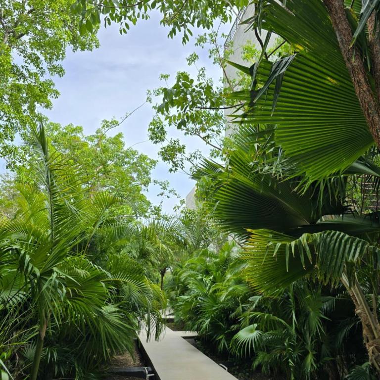 Tulum XS101 Cenote VIP Concierge & Luxury Amenities - Apartamento de 2 dormitorios con terraza - 45